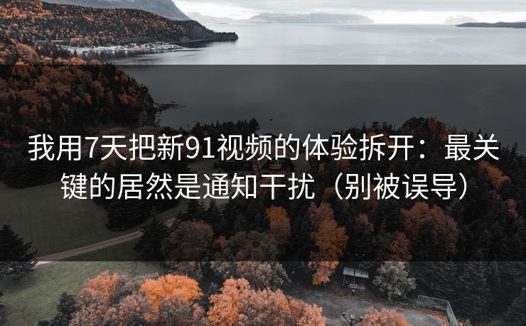 我用7天把新91视频的体验拆开：最关键的居然是通知干扰（别被误导）